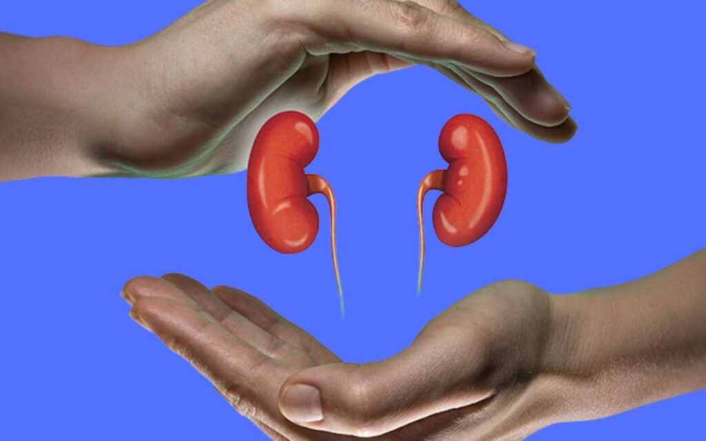 Tips for Maintaining Healthy Kidneys