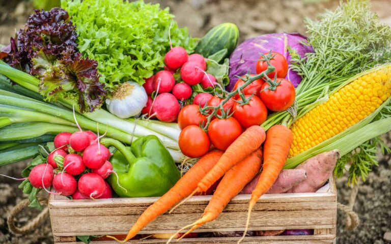 Top 10 Healthy Vegetables for Your Diet