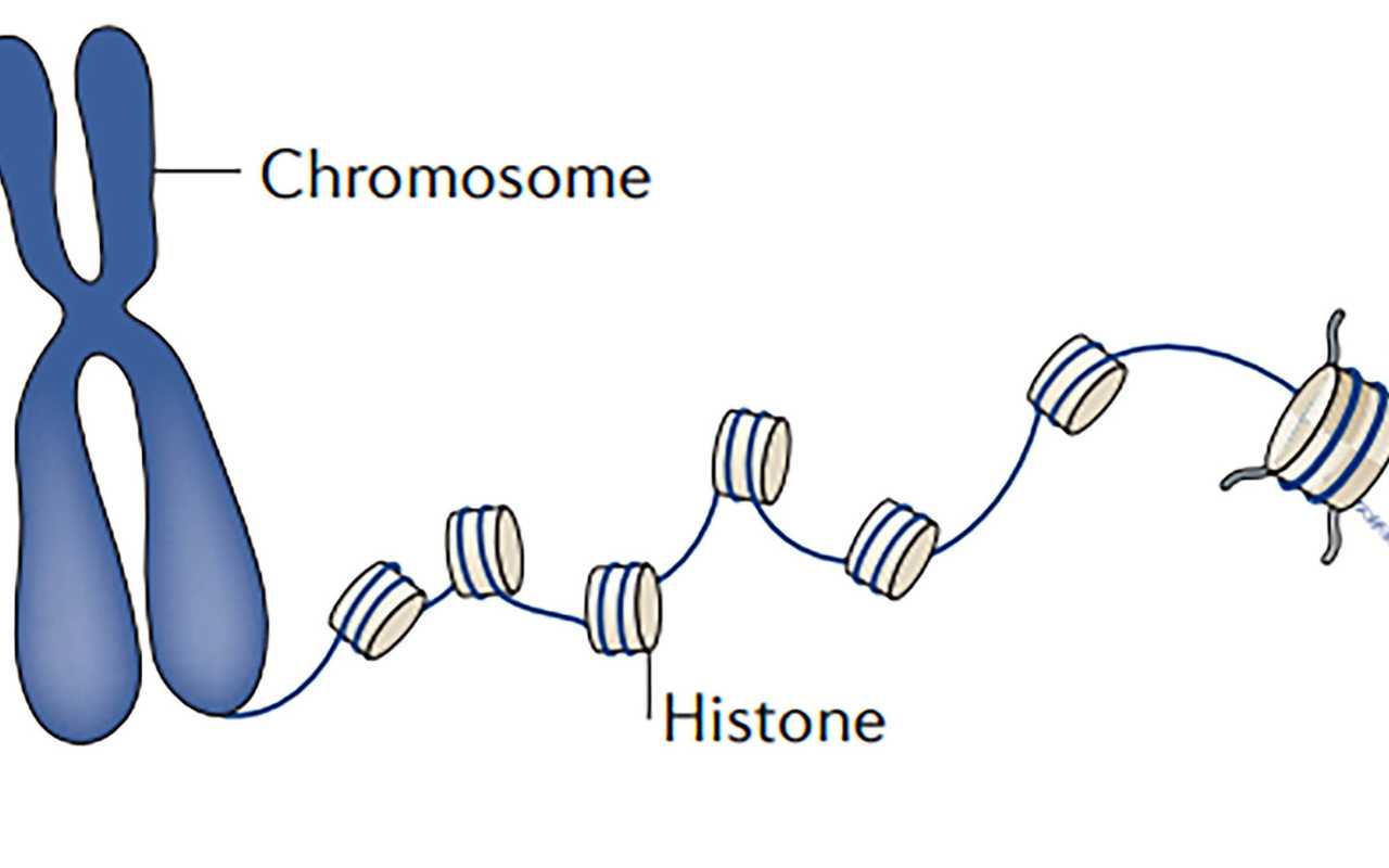 DNA Methylation Test